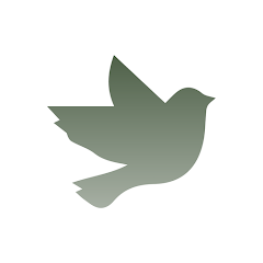 Infinite Memori app
